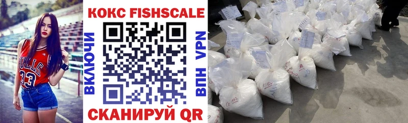 Купить где  Пудож  COCAIN Fish Scale 