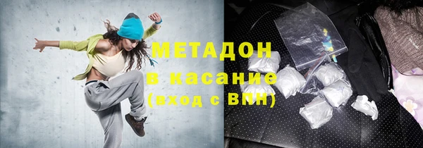 прущие грибы Краснотурьинск