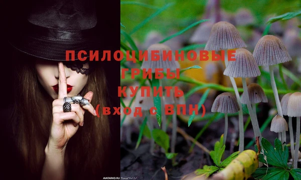 марки lsd Кукмор