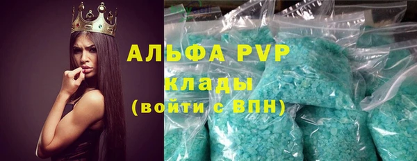 прущие грибы Краснотурьинск